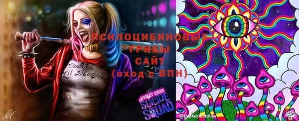 не бодяженный Каменка