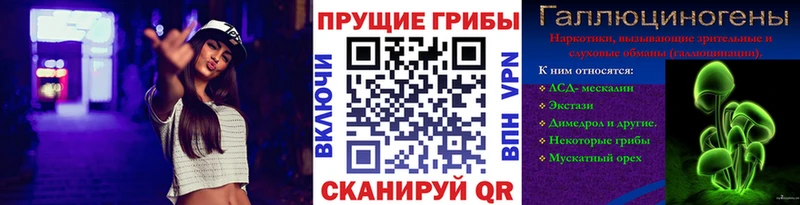 Купить  Орехово-Зуево  Галлюциногенные грибы GOLDEN TEACHER 