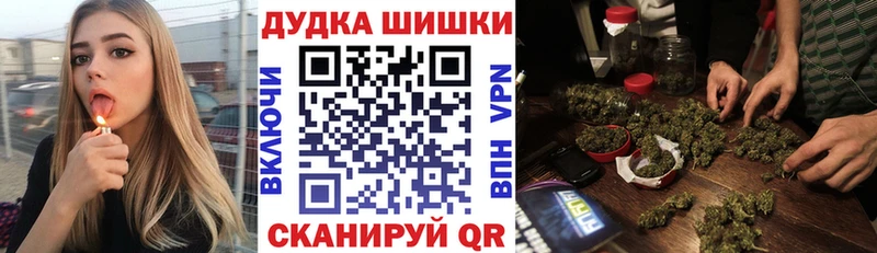 Купить закладки Орехово-Зуево Конопля ГИДРОПОН